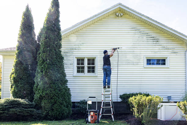 Best Affordable Power Washing  in Moorefield, WV