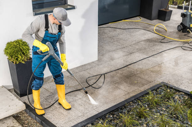 Best Roof Power Washing Services  in Moorefield, WV